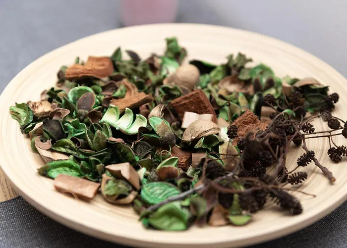 Park Szczytnicki 2-bedroom By Bookinghost 公寓